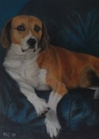 /album/tierisches/imag3737-1-1-1-2-jpg/